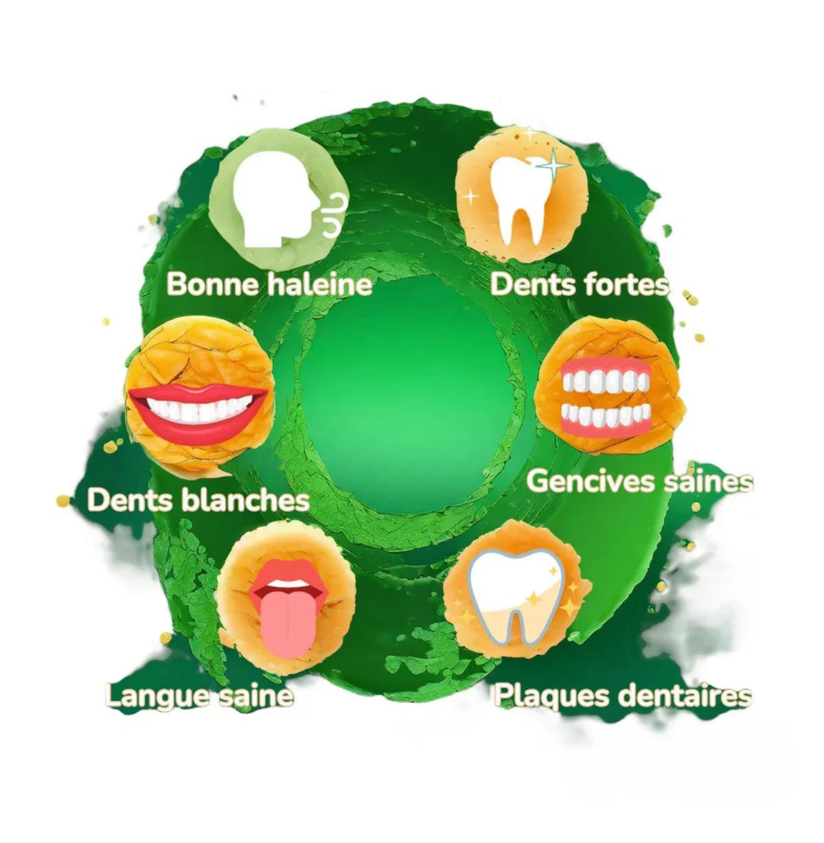Dentifrice - Miswak Chak Aroma